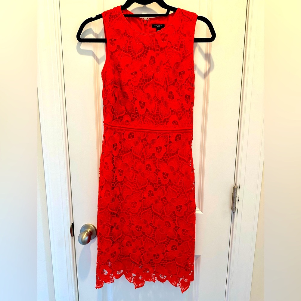 Elegant Orange/Red Lace Dress